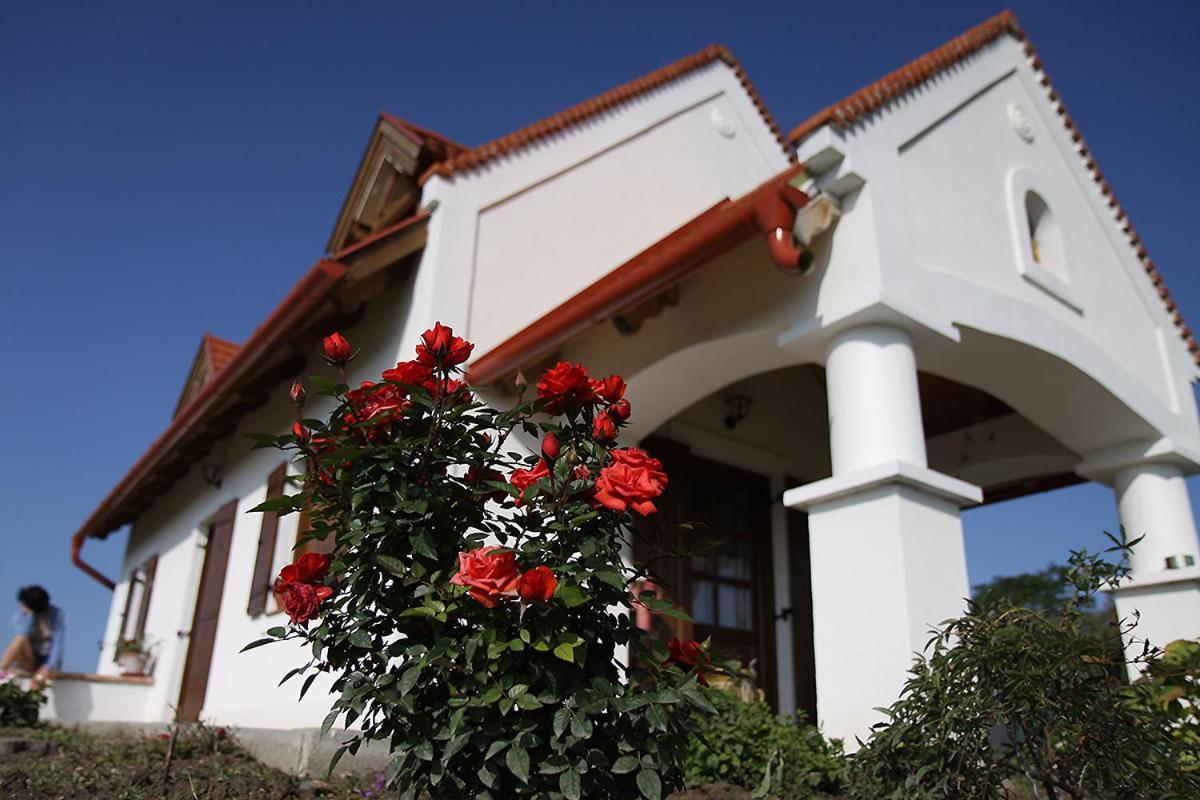Casa Beata Villa Lesencetomaj Exterior photo