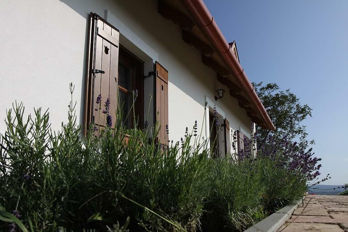 Casa Beata Villa Lesencetomaj Exterior photo