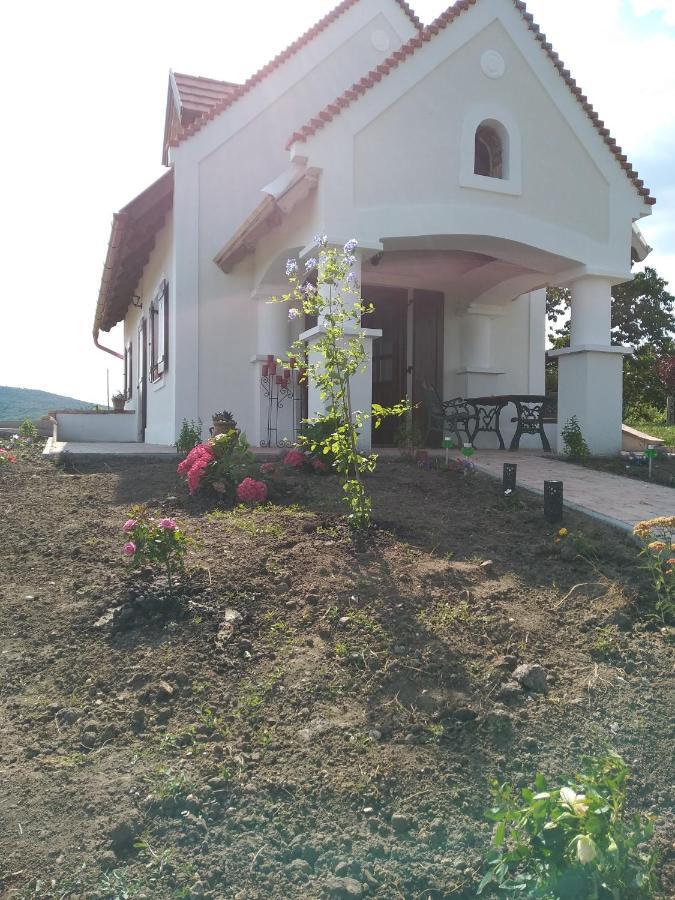 Casa Beata Villa Lesencetomaj Exterior photo